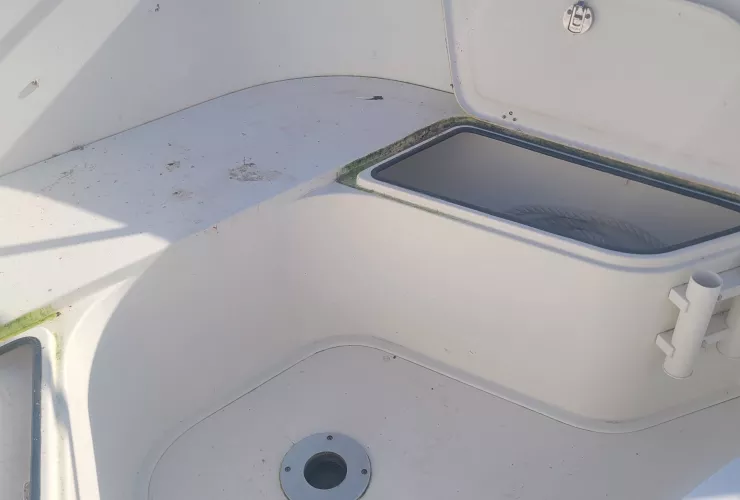 PROMARINE BELONE - 3