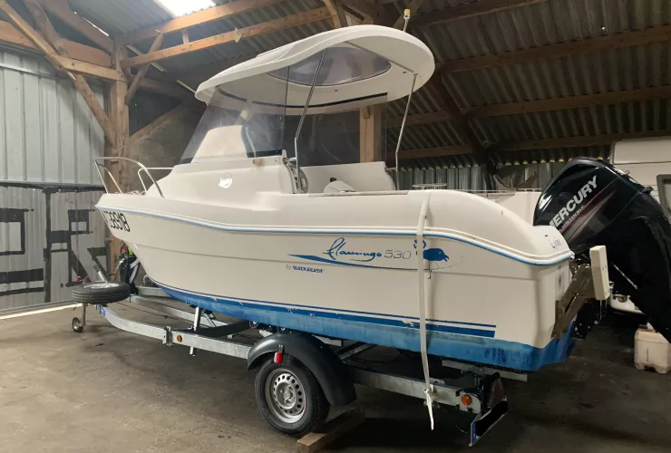 QUICKSILVER 530 FLAMINGO