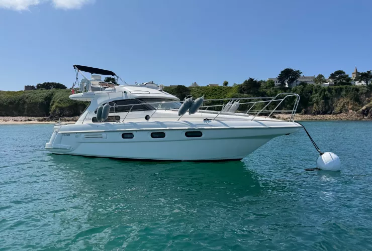 SEALINE F36