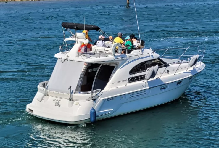 SEALINE SEALINE F36 - 2