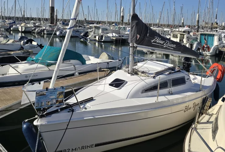 B2 MARINE BLUE DJINN - 3