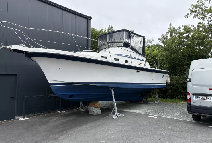 ALBIN MARINE ALBIN 32