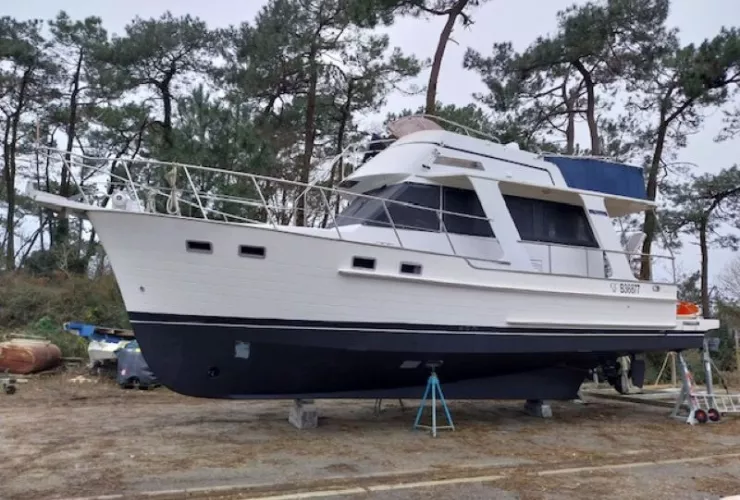 NAUTICA NAUTICA 36