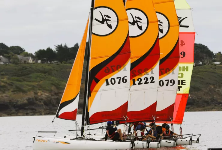 HOBIE CAT TEDDY - 2