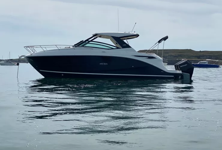 SEA RAY SUNDANCER 320 HB