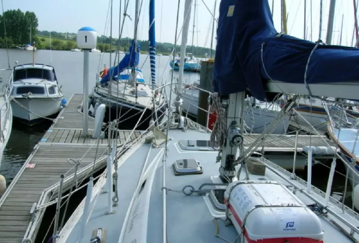 RUSTLER RUSTLER 36 - 2