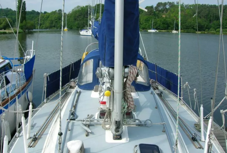 RUSTLER RUSTLER 36 - 3