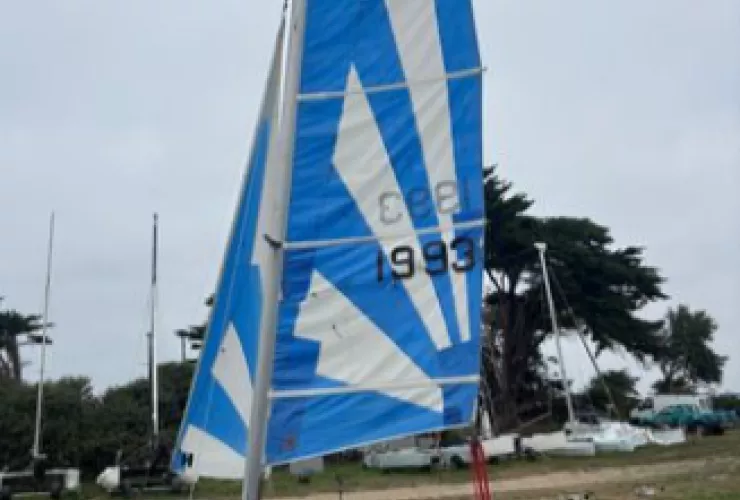 LASER PERFORMANCE DART 16