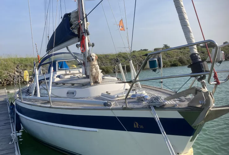 HALLBERG-RASSY HALLBERG RASSY 36 MK II - 1