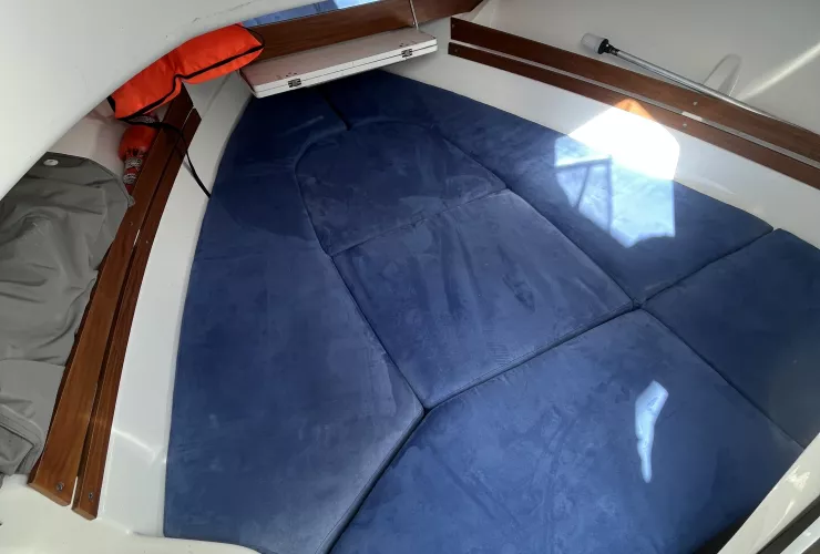 WHITE SHARK WHITE SHARK 228 - 3