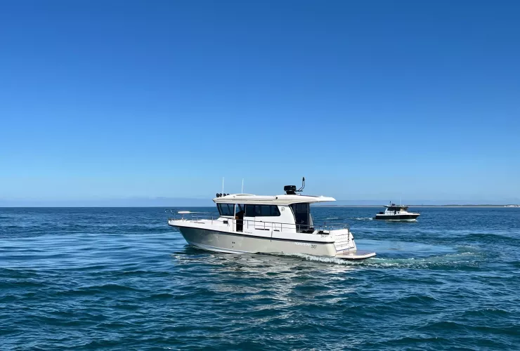 NORD STAR NORD STAR 36+