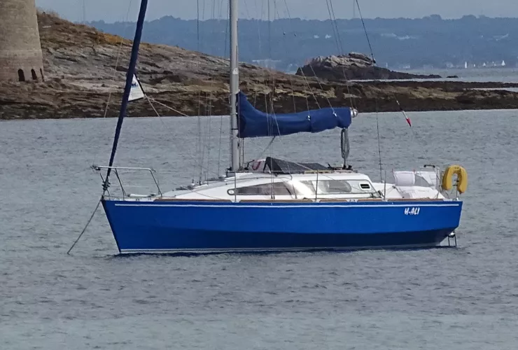 CUSTOM SERPENTAIRE 8.51 - 1