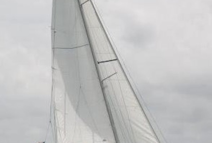 CUSTOM SERPENTAIRE 8.51 - 3