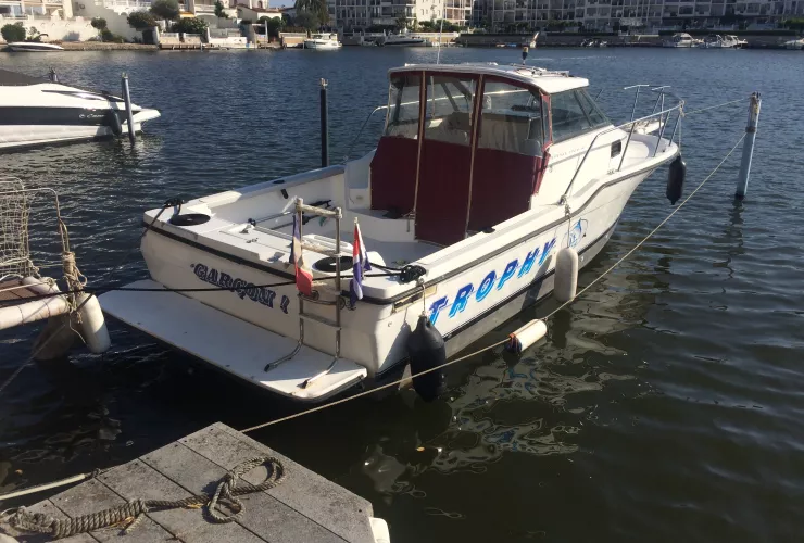 BAYLINER  - 1