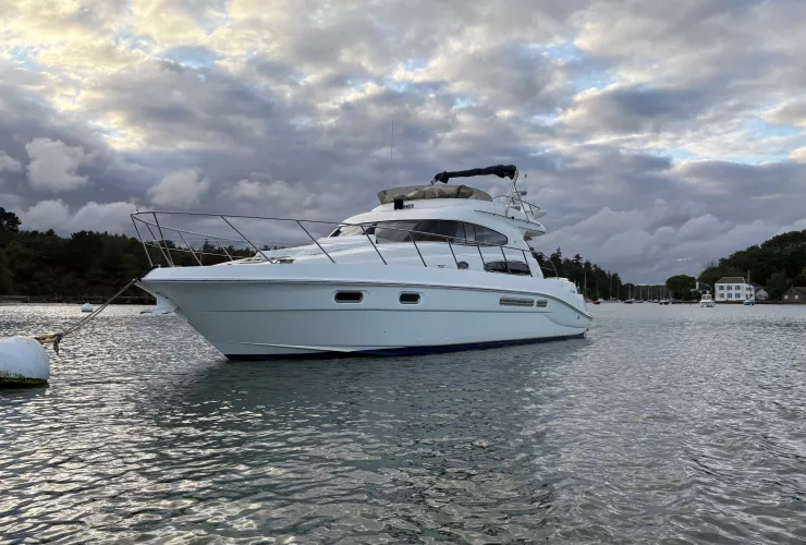 SEALINE SEALINE T 47 - 24