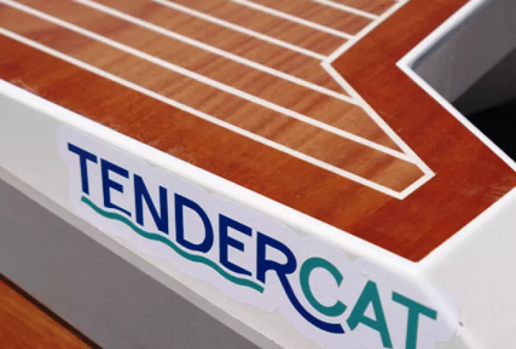 TENDERCAT TC305 - 3