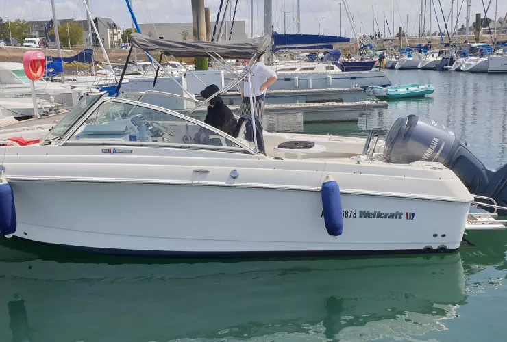 WELLCRAFT WELLCRAFT 220 SPORTSMAN - 22