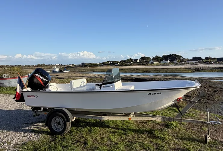 BOSTON WHALER MONTAUK - 30