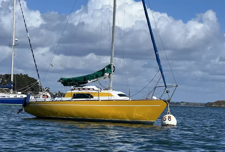 AUBIN TEQUILA - 30