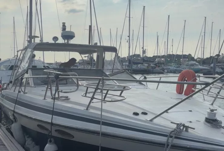 SUNSEEKER PORTOFINO 31 - 2
