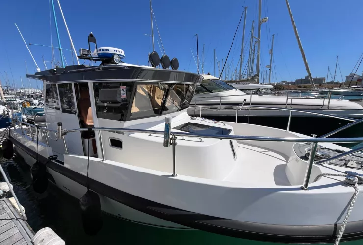 NORD STAR NORD STAR 31+ - 23
