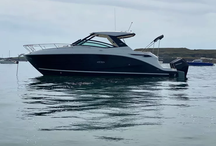 SEA RAY  - 28
