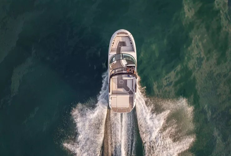 SEA RAY  - 19
