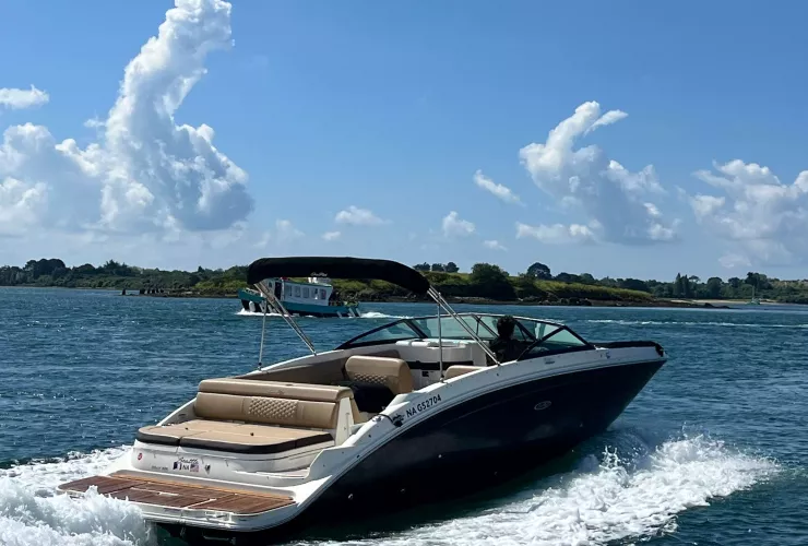 SEA RAY  - 19