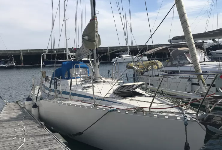ZUANELLI ZUANELLI 40