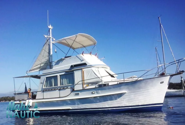 ISLAND GYPSY ISLAND GYPSY 32