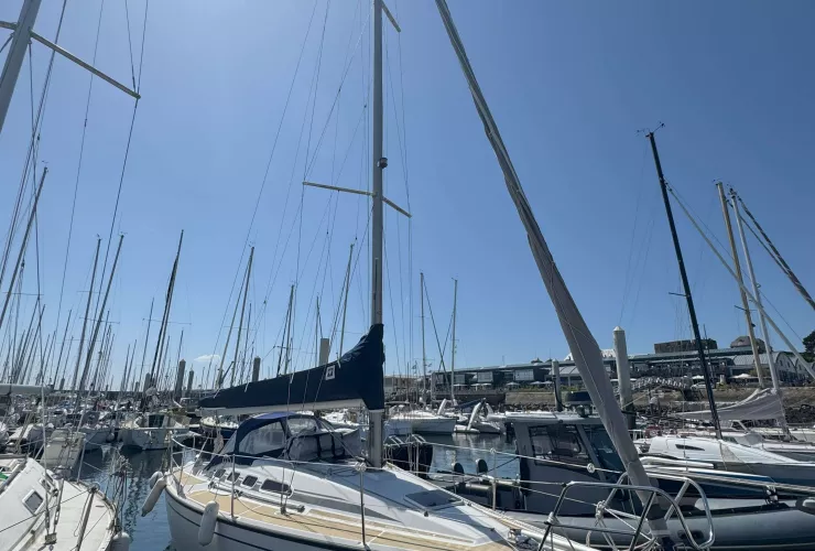 DEHLER DEHLER 29 - 2