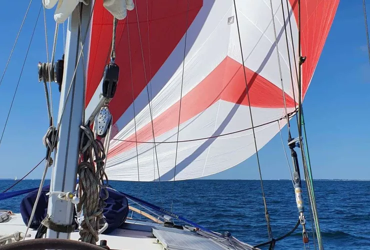 NAUTICAT NAUTICAT 331 - 2