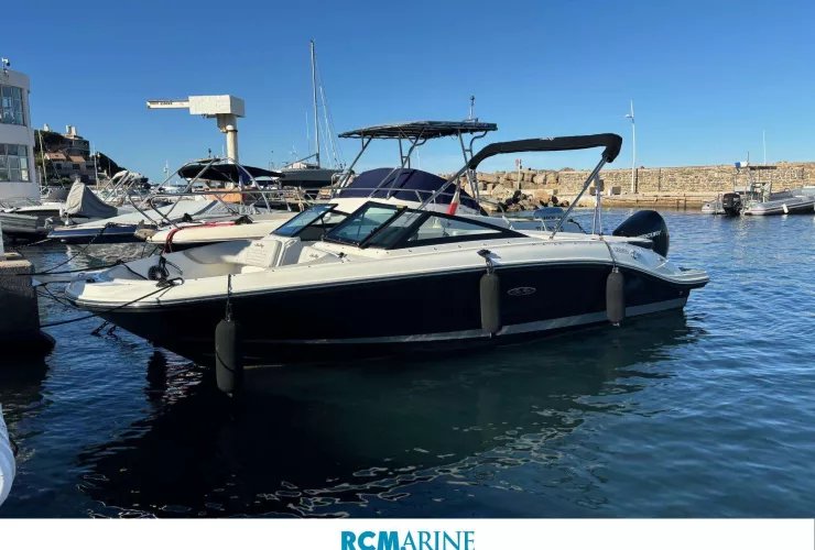 SEA RAY SEA RAY 210 SPX