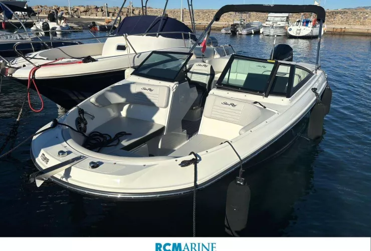 SEA RAY SEA RAY 210 SPX - 2