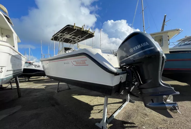 BOSTON WHALER 