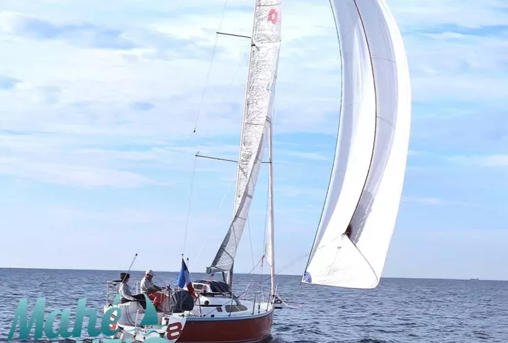 WINNER YACHTS WINNER 8 PERFORMANCE - 2