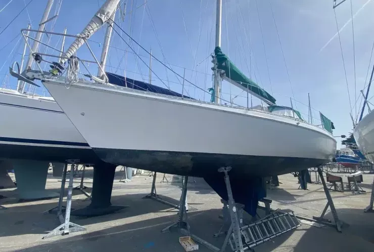  GIB SEA 31 DL - 1