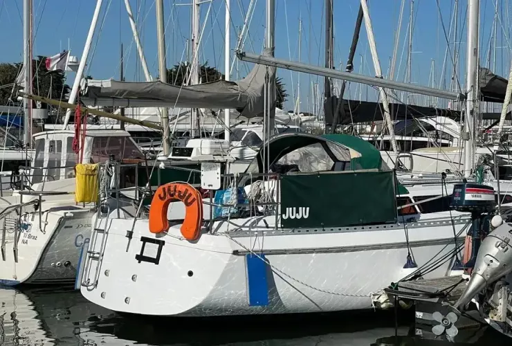  GIB SEA 31 DL - 2