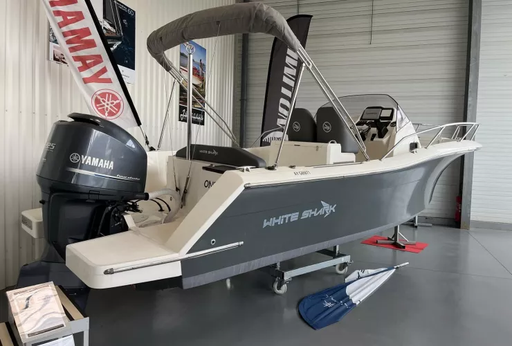 WHITE SHARK  - 1