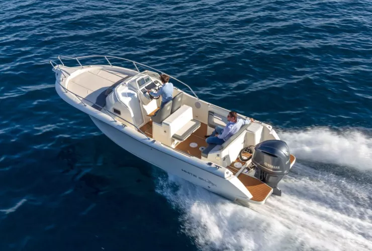 WHITE SHARK  - 2