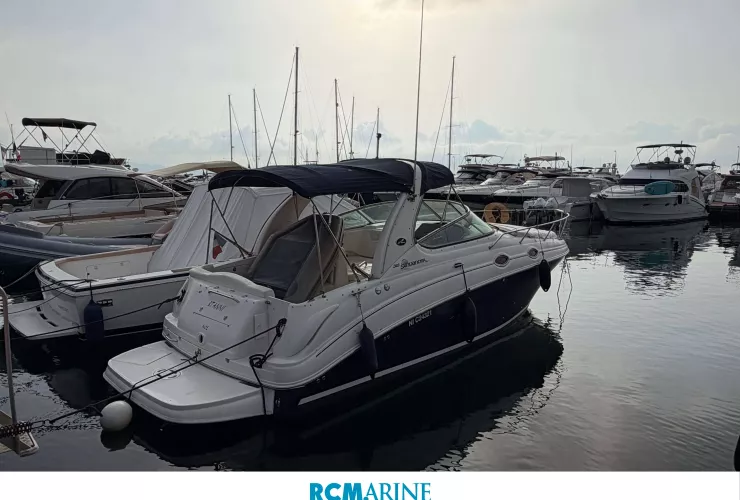 SEA RAY  - 1
