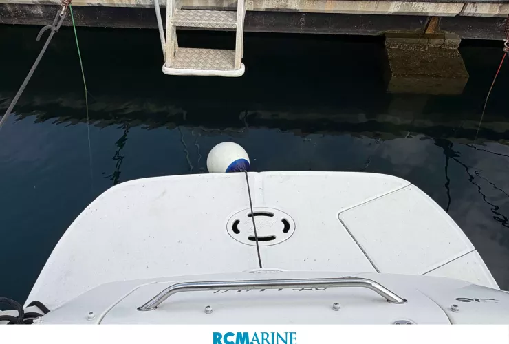 SEA RAY  - 3