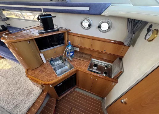 SEALINE - SEALINE F36 - 12