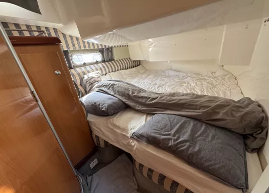 SEALINE - SEALINE F36 - 13