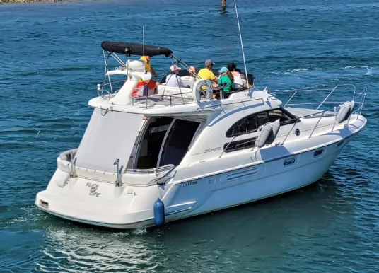 SEALINE - SEALINE F36 - 2