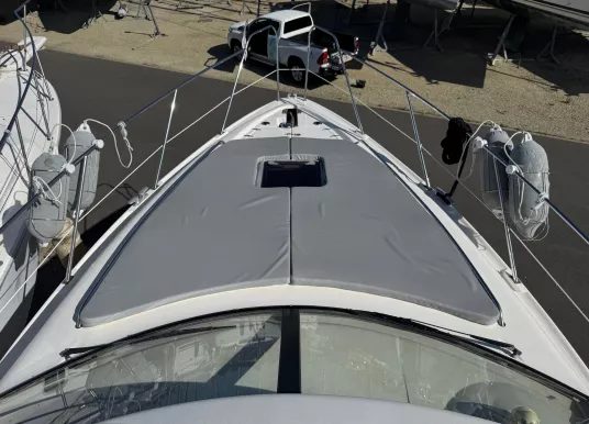 SEALINE - SEALINE F36 - 8