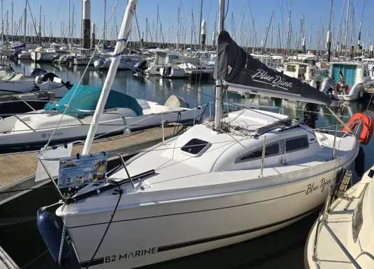B2 MARINE - BLUE DJINN - 3