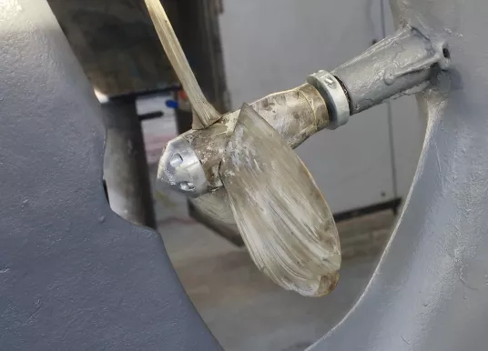 BERNARD - CHASSIRON - 9