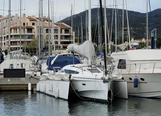 DRAGONFLY - DRAGONFLY 32 - 3