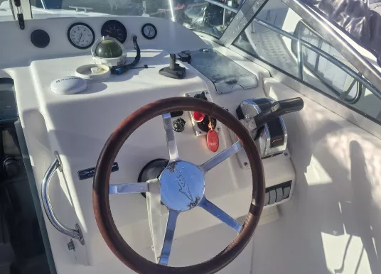 KELT - WHITE SHARK 206 - 3